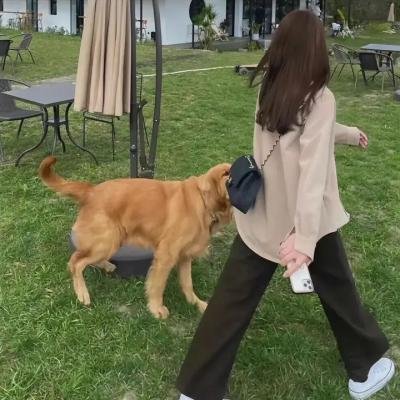 妈妈不让 海报